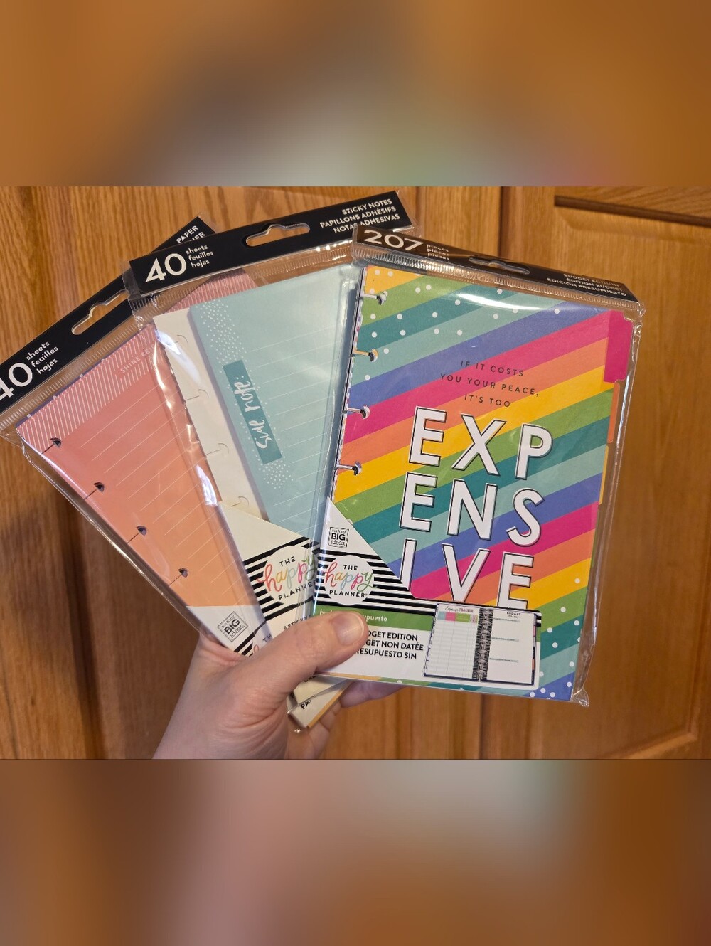 The Happy Planner Mini Budget Insert Rainbow Notes & Pastel Sticky Note Set